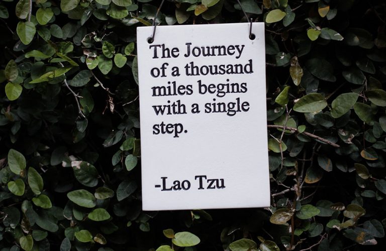 The journey of a thousand miles begins with a single step. Lao Tzu