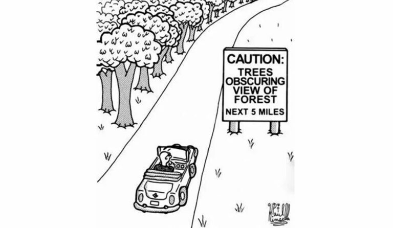 cartoon of a convertible driving through a forest with the caption "caution: trees obscuring view of forest next five miles."