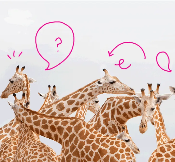 Nine giraffes with hand drawn thought bubbles above their heads